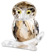 This eye-catching owl figurine embodies the gentle bird's wise and peaceful spirit in faceted Swarovski crystal. With golden feathers, topaz eyes and a matte crystal perch.