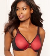 Decorated support. Lilyette's Embellished Minimizer bra is both functional and stylish, with full-coverage underwire minimizing cups that are decorated with a lace and mesh overlay. Style #456