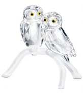 Day or night, these adorable owl figurines will shine on in faceted Swarovski crystal with wide, topaz-colored eyes and a matte crystal perch.