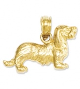 Honor your favorite breed. This shiny charm features an intricately-carved long-haired dachshund in 14k gold. Chain not included. Approximate length: 3/5 inch. Approximate width: 7/10 inch.