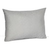 A dotted, circular embroidered pattern imparts a subtle sheen to this simple decorative pillow from Calvin Klein Home.