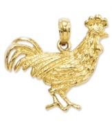 One small reminder to put forth your confidence, this 14k gold rooster charm makes this statement with carved intricacy. Chain not included. Approximate drop length: 4/5 inch. Approximate drop width: 9/10 inch.