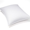 Hudson Park Ultra Clean Firm Down King Pillow