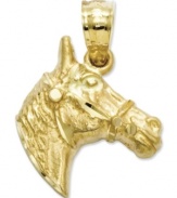 Get equestrian! This shiny charm features an intricately-carved horse head in 14k gold. Chain not included. Approximate length: 7/10 inch. Approximate width: 1/2 inch.