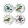 Fringe glass coasters with multi hummingbird print. Set of 4 comes in gift box. Diameter of each is 4.