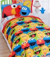 Elmo and Cookie Monster are the stars of your bed with these decorative pillows finished in super-soft microfiber. Edged with contrast piping.