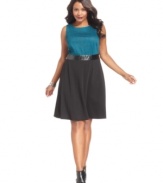 Delight from day to play in NY Collection's sleeveless plus size dress, defined by a flattering A-line shape.