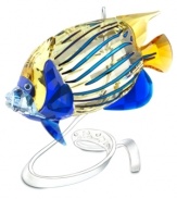 Paradise found. Swarovksi captures the natural brilliance of the underwater world in this emperor angelfish figurine. Metallic blue and sparkling yellow crystal recreate the unique creature as it glides through its inspired metal display.