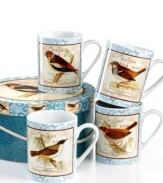 Naturalist prints tell the story of four feathered friends on the British Birds mugs. Vintage styling and watercolor trim add to the set's antique sensibility. With a coordinating box to treat outdoorsy entertainers.