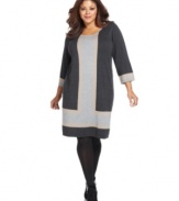 Stay chic and cozy with Spense's plus size sweater dress, crafted from a colorblocked knit.