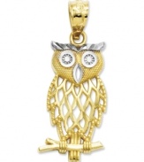 Grace your charm bracelet or necklace with this wise and beautifully cut owl charm. Set in 14k gold, its eyes, mouth and brows offer hints of gleaming sterling silver. Chain not included. Approximate drop length: 1 inch. Approximate drop width: 3/8 inch.