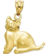 Keep your furry feline friend close to you always. This cat charm is intricately etched in 14k gold. Chain not included. Approximate drop length: 9/10 inch. Approximate drop width: 7/10 inch.