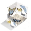 Cube shaped crystal paperweight featuring butterflies.