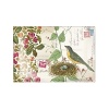 Fringe medium, rectangle transferware glass tray with bird and nest motif. Dimensions are 12.25 x 8.5.