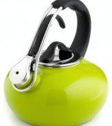 This innovative tea kettle throws you for a loop with its polished enamel coating that brings a little excitement and color to your kitchen. With a sweeping handle that arcs high above its body, this kettle knows the importance of high design and total functionality. The clever bell-shaped design helps induce heat for faster boiling. Limited warranty.