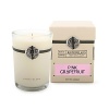 Archipelago's Pink Grapefruit boxed candle adds a decorative touch to any room and fills the home with intoxicating fragrance for up to 50 hours.