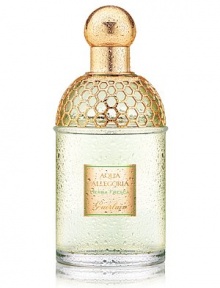 Inspired by nature and created by Guerlain. The Aqua Allegoria form a palette of olfactory emotions centered on the raw ingredients drawing their originality from unexpected combinations of freshly gathered petals, sun-kissed citrus fruit, green and aromatic sensations.Aqua Allegoria Herba Fresca Eau de Toilette. The aromatic essence of fresh green grass brings to mind a barefoot stroll on a dewy summer morning in this fragrance for the vibrant woman.