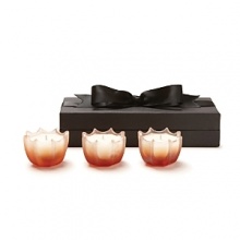 This set of three elegantly scalloped D.L. & Co. candles contain an evocative fragrance blend of rockrose and vanilla. Comes in an exquisite black ribboned box for the perfect gift.