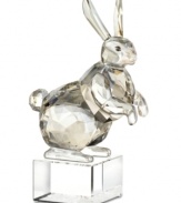 Get spiritual with the zodiac symbol for peace, stability and tranquility – the rabbit. Captured in smooth and faceted silvertone crystal, this Swarovski figurine features an authentic Asian design atop a base engraved with English and Chinese seal script.