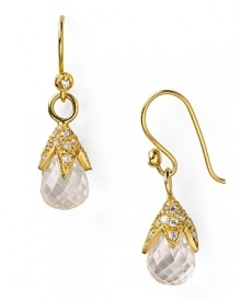 Make sweet shine your signature with Melinda Maria's crystal drop earrings. Style yours with your hair swept back and a feminine frock, so this pretty pair can charm the crowd.