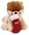 As cute as the real thing but even better behaved, this plush replica of America's cutest dog, Boo, will fetch squeals of delight from any animal lover. From Gund.