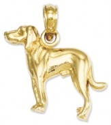 Pay tribute to your favorite breed! This adorable Greyhound Dog charm will melt your heart. Crafted in polished 14k gold. Chain not included. Approximate length: 3/4 inch. Approximate width: 7/10 inch.