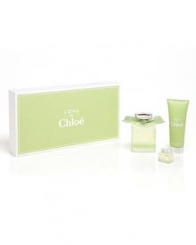 Set includes 3.4 oz. Eau de Toilatte spray, 2.5 oz. hand cream, deluxe mini Eau de Toilette.