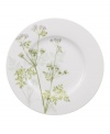 A natural for casual dining, Althea Nova dinner plates by Villeroy & Boch feature durable porcelain planted with delicate herbs for a look that's fresh from the garden. With green trim.