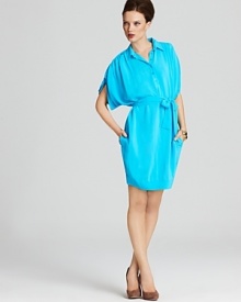 DIANE von FURSTENBERG Dress - Karin Kimono Sleeve Crepe Shirtdress