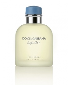 Introducing Dolce and Gabanna Light Blue Pour Homme, the new fragrance for men. A refreshing blend of citrus notes combine perfectly with masculine woods and subtle spice to create a distinctive fragrance that epitomizes relaxed sophistication.