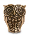 Quite a hoot. This whimsical owl ring from Lucky Brand is crafted from gold-tone mixed metal and accented with glass stones. Size 7.