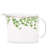 An instant classic from kate spade, this Gardner Street Green creamer exudes contemporary elegance. Green stems of foliage flourish on fine white bone china, creating a stylized two-tone floral motif to freshen up your table.