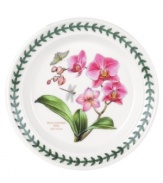 An exotic take on the much-loved Botanic Garden pattern, this bread and butter plate blooms with lush, tropical florals. Portmeirion's trademark triple-leaf border puts the finishing touch on the new dinnerware classic.