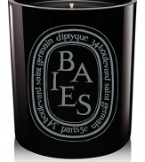 The classic Baies scent presented in a mouth-blown glass colored during production for a shiny finish that lets you see the candle flame. Baies scent recalls the scent of a rose garden by the water's edge. The rose gives off an imposing presence that is ideally balanced by the cool notes of blackcurrant leaves.