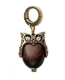 Wisdom will be on your side with the addition of this little guy to your charm bracelet. Fossil owl charm crafted in wood and goldtone mixed metal features crystal accents at eyes. Approximate length: 3 inches.