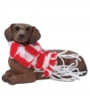 Bark up the right tree with a Christmas ornament for your dog – or a fellow animal lover! A cute red dachshund waits patiently for treats, dressed in a festively striped scarf. From Sandicast.