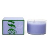 Lilac blossoms and the leafy green notes of English ivy are blended with watery nuances reminiscent of the morning dew. 3-Wick Candle burns approximately 95 hours.