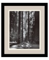 Premier nature photographer Ansel Adams captures the awe-inspiring majesty of California's Redwood forest. A single column of light pierces the dense forest and illuminates its floor in clean, classic black and white.