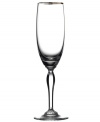 Allegra Platinum stemware is a perfect choice to toast both formal and casual occasions. The style embodies simplicity defined with elegant details, in sparkling crystal embellished with platinum trim.