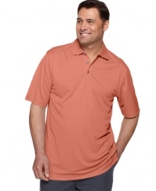 Step up your game with the performance styling of this big and tall polo shirt from Izod.