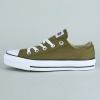 Converse Chuck Taylor Low