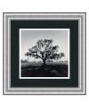 Silhouetted by the rising sun, a sprawling oak casts its broad shadow in the photographer's direction. A smooth white mat and simple, black satin frame complement the classic print, an alluring nature scene for any room and decor. By Ansel Adams for the University of California.