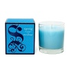 Blue hydrangea and Casablanca lily are combined with the bold essence of Persian melon and fresh aquatic notes. Classic Candle burns approximately 45 hours.