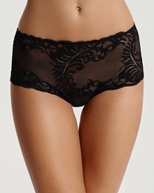 Sultry sheer briefs with ornate feather lace detail all over.