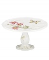 The sweet springtime motif of Butterfly Meadow dinnerware graces this small cake stand, an irresistible way to serve your favorite confections. With scalloped detail in white porcelain. Qualifies for Rebate