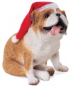 Bark up the right tree with a Christmas ornament for your dog – or a fellow animal lover! A lovable bulldog is ready for holiday treats, dressed in a red stocking cap. From Sandicast.