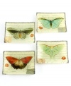 A natural beauty, this elegant set of Butterfly Prose plates layers intricate butterflies and romantic script in artfully colored glass. From Prima Designs. (Clearance)