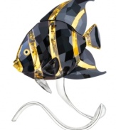 A fascinating creature captured in stunning Swarovski crystal, the French angelfish figurine features faceted stripes of black and gold. The elegant stand is embossed with an beautiful coral motif reminiscent of its natural habitat.