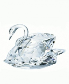 Highly collectible and exquisitely crafted by Swarovski, the Austrian leader in crystal artistry for over 100 years, Large Swan is sculpted of faceted crystal with a silvery glow and 18K gold-plated metal accents. Measures 2-1/2 x 2-3/8.