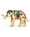 They say an elephant never forgets. You won't be forgotten with this whimsical elephant pin from City by City. It's crafted from gold-tone mixed metal and features glass accents. Approximate length: 2-1/2 inches. Approximate width: 1-1/2 inches.